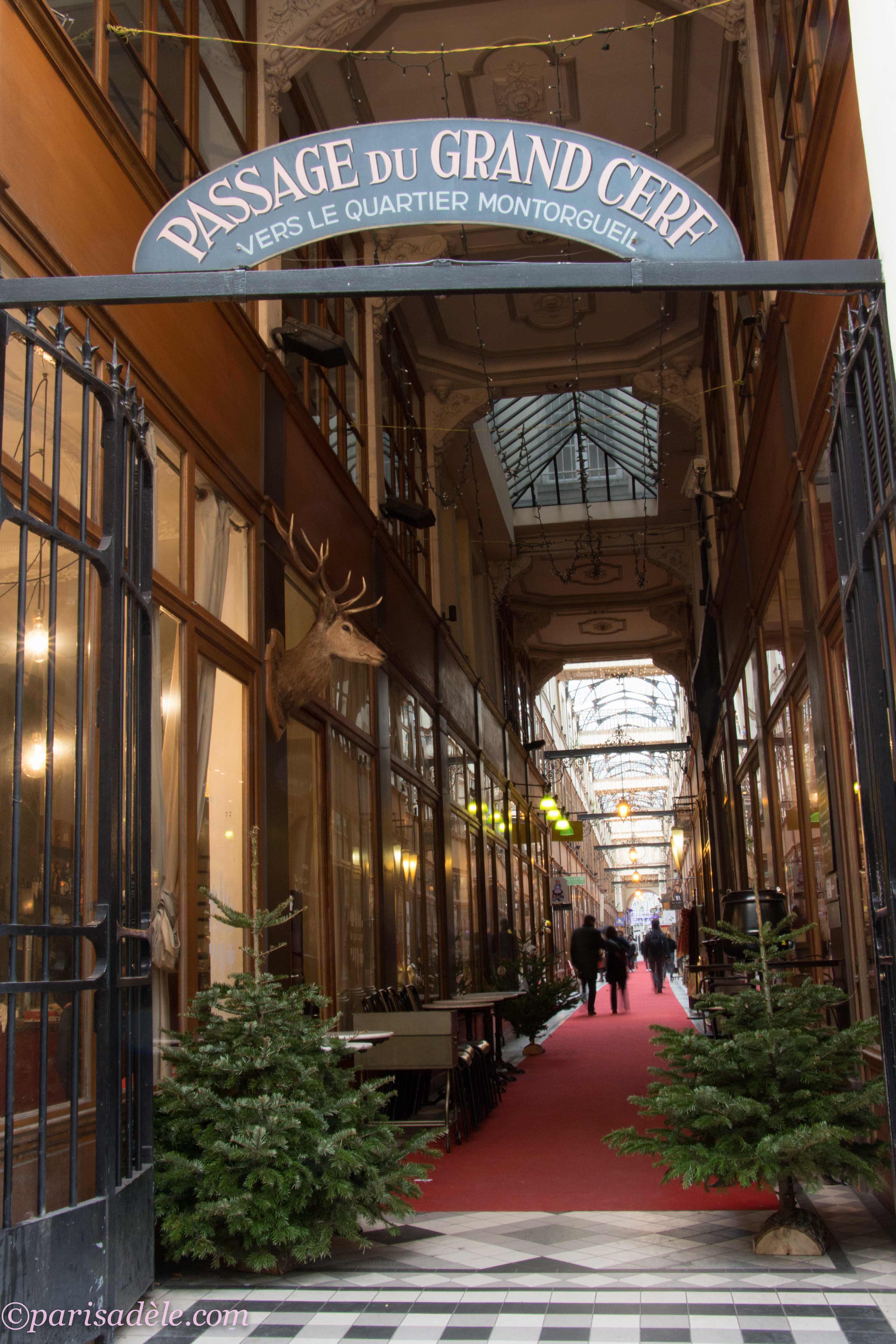 Passage du Grand Cerf | Paris Adèle3331 x 4996