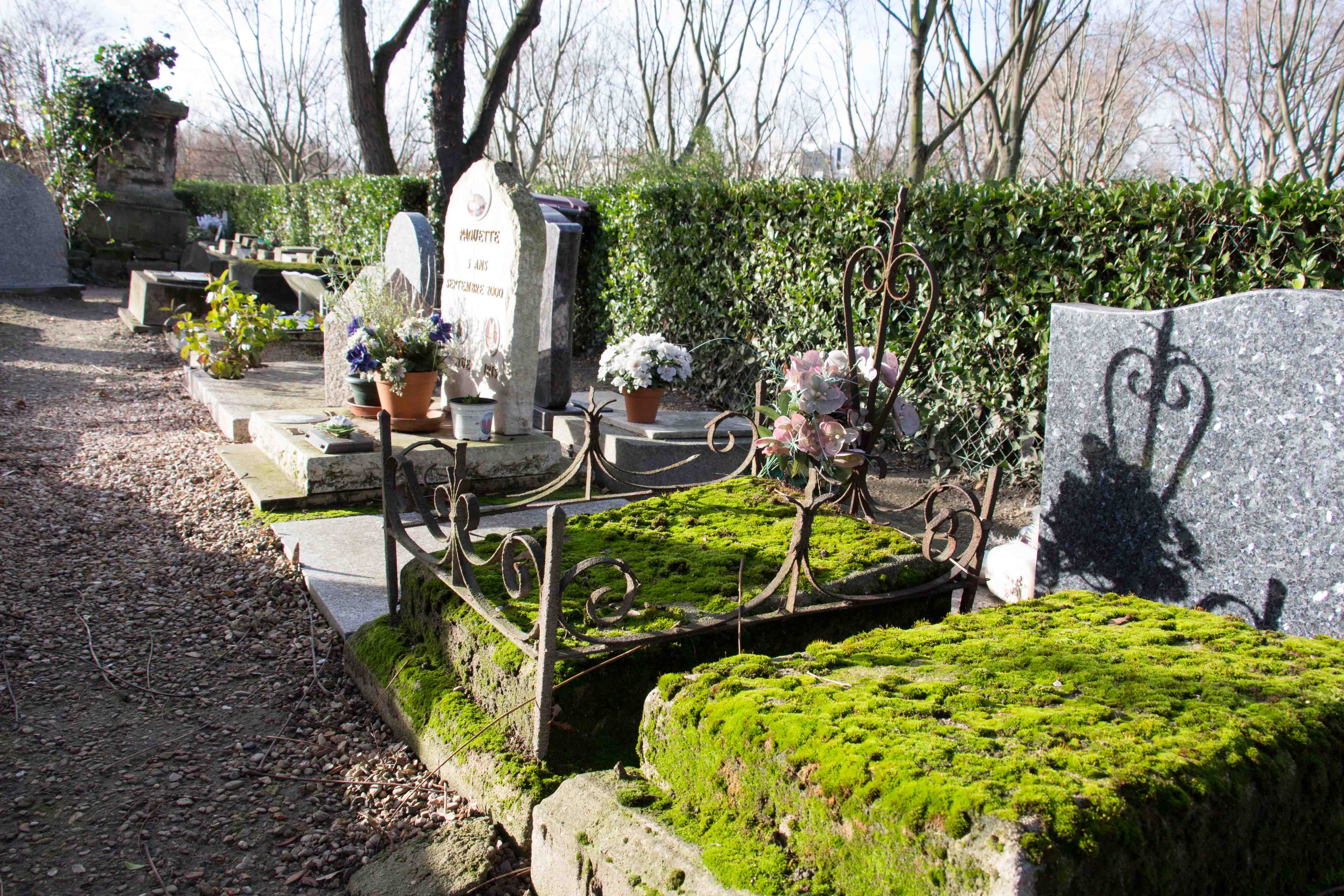 Roullens : le cimetière et ses secrets 