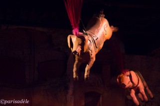 pigs fly museum arts forains paris carousels